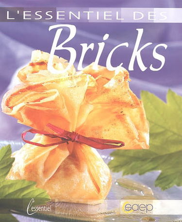 L'essentiel des bricks