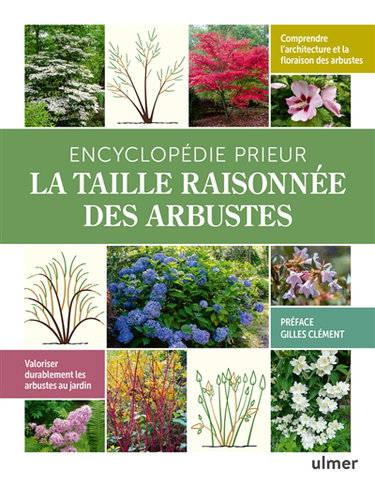 Encyclopédie Prieur : la taille raisonnée des arbustes : comprendre l'architecture et la floraison des arbustes, valoriser durablement les arbustes du jardin
