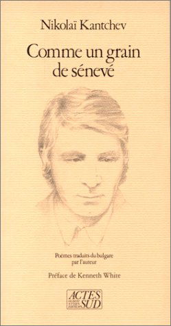 Comme un grain de sénevé