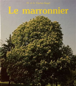 Le Marronnier