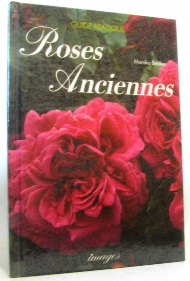 Roses anciennes