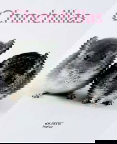 Chinchillas