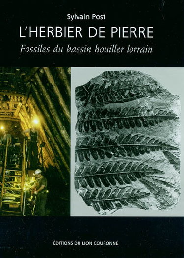 Couverture de L'herbier de pierre : fossiles du bassin houiller lorrain