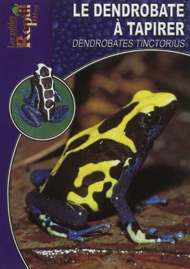 Le dendrobate à tapirer : Dendrobates tinctorius