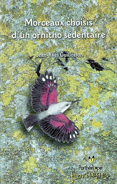 Morceaux choisis d'un ornitho sédentaire