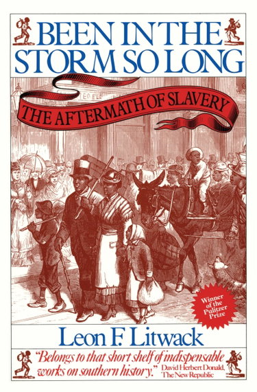 Couverture de Been in the Storm So Long: The Aftermath of Slavery
