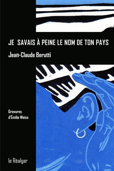 Couverture de Je savais à peine le nom de ton pays