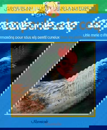 Gros plan sur la nature, numéro 3 : la poule et le coq