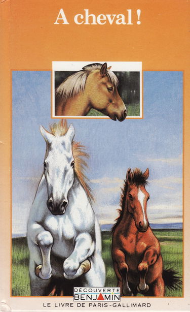 A Cheval! Christine Lazier