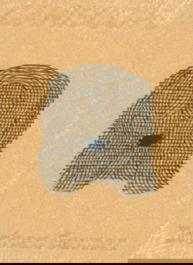 Les Pauvres et la pauvreté. Vol. 2. Du XVIe siècle à nos jours