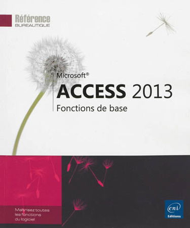 Access 2013 : fonctions de base