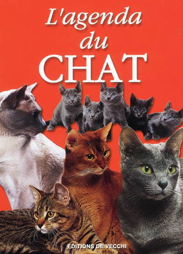 L'agenda du chat