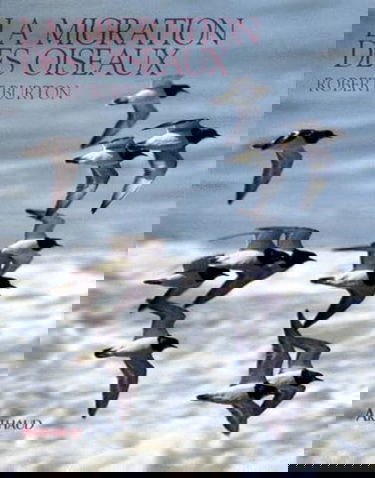 La migration des oiseaux