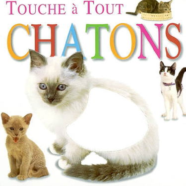 Chatons