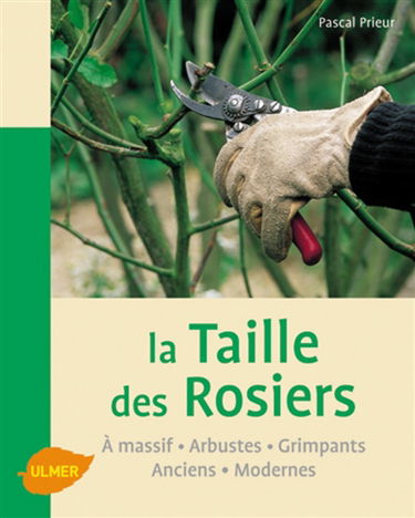 La taille des rosiers : à massif, arbustes, grimpants, anciens, modernes