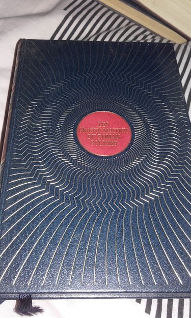 Brouillard au pont de Tolbiac