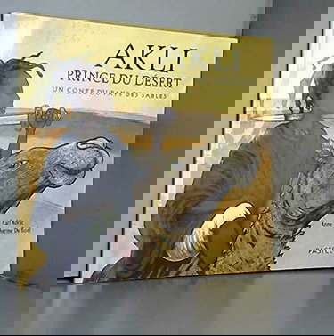 Akli Prince Du Desert : Un Conte Du Pays Des Sables