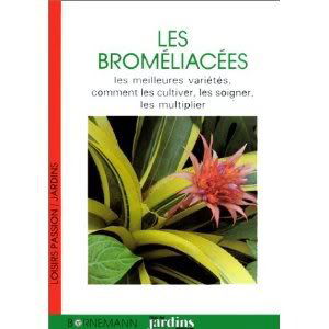 Les Broméliacées : les meilleures variétés, comment les cultiver, les soigner, les multiplier