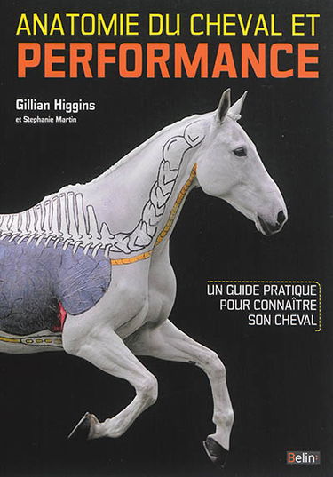 Anatomie du cheval et performance : un guide pratique pour connaître son cheval