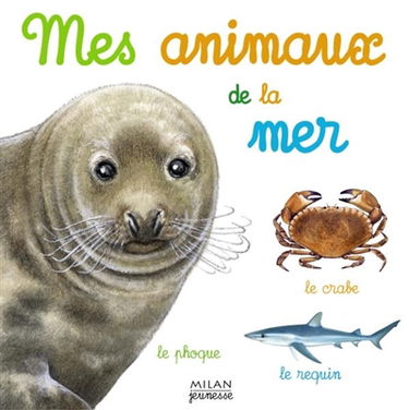 Mes animaux de la mer