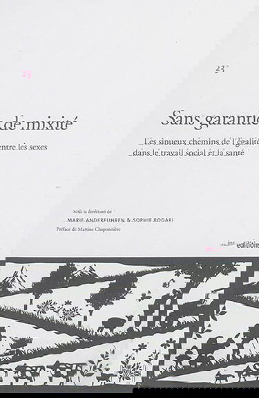 Sans garantie de mixité : les sinueux chemins de l'égalité entre les sexes dans le travail social et la santé