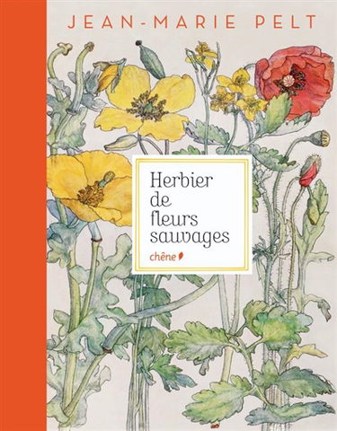 Herbier de fleurs sauvages