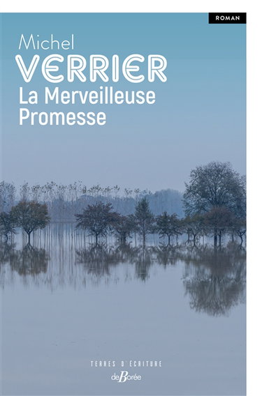 Couverture de La merveilleuse promesse par Michel Verrier