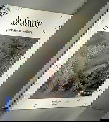 La loutre : princesse des rivières