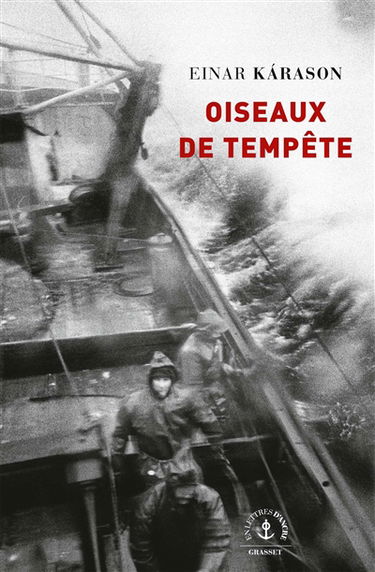 Oiseaux de tempête