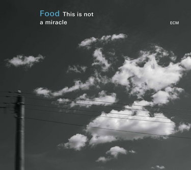 Couverture de This Is Not A Miracle