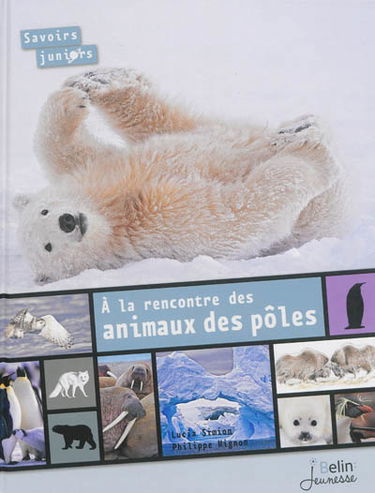 A la rencontre des animaux des pôles