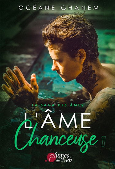 La saga des âmes. Vol. 5. L'âme chanceuse. Vol. 1