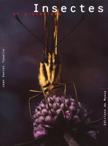 Les insectes et arachnides