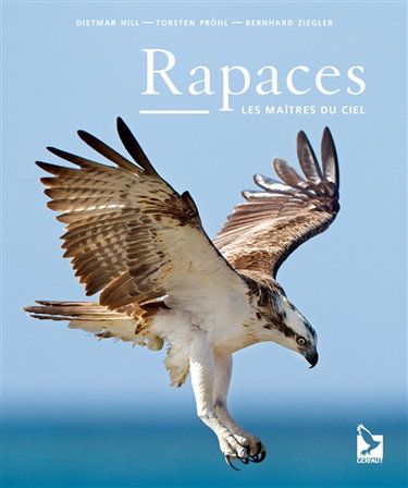 Couverture de Rapaces : les maîtres du ciel