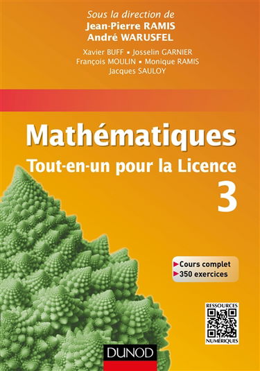 Mathématiques, tout-en-un pour la licence 3