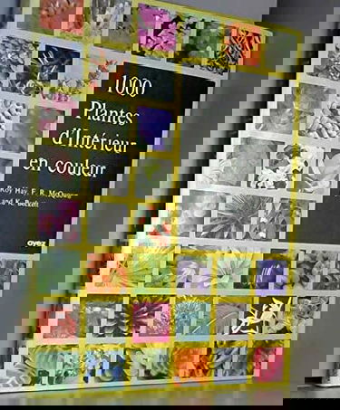 1000 plantes d'intérieur en couleur