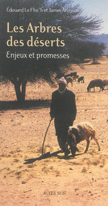 Les arbres des déserts : enjeux et promesses