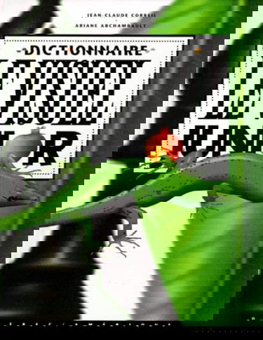 Dictionnaire visuel, junior