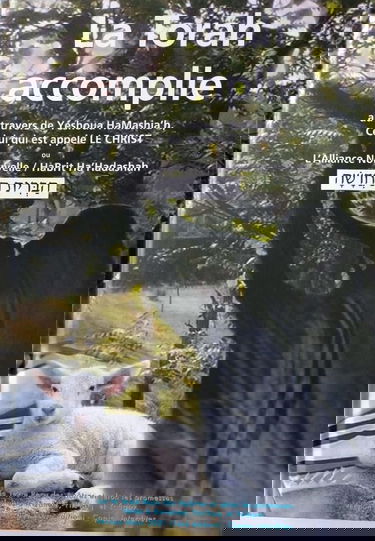 La Torah Accomplie - Le Nouveau Testament Messianique