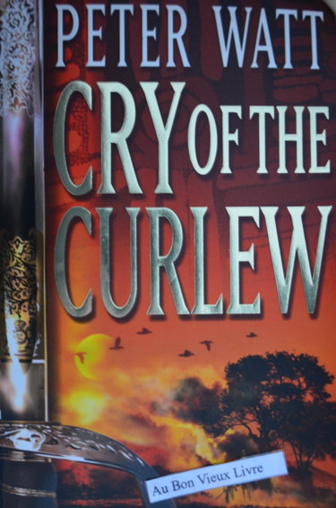 Couverture de Cry of the Curlew
