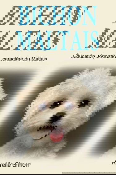 Bichon Maltais: Education, Formation, Caractère du Maltais