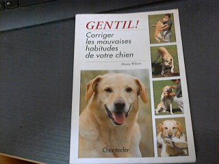 Gentil ! Corriger Les Mauvaises Habitudes De Votre Chien