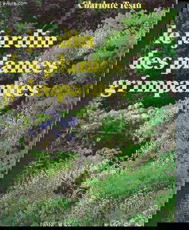 Jardin plantes grimpantes