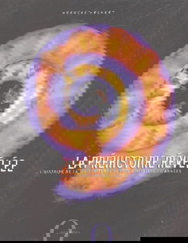 La préhistoire révélée