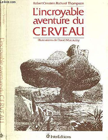 L'incroyable aventure du cerveau