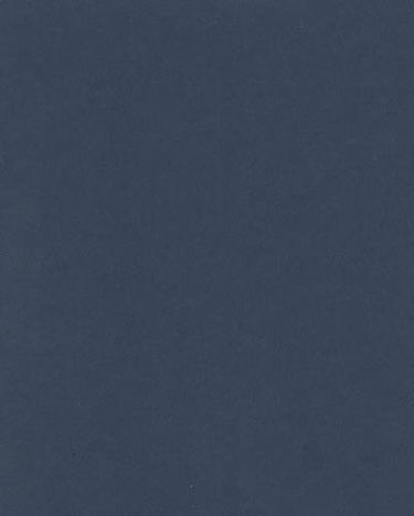 Histoire florale de la peinture : hommage à Steve Dawson