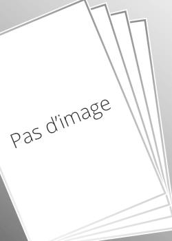 L'international : qualifier, rattacher, authentifier