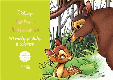 Couverture de Bébés animaux : 20 cartes postales à colorier