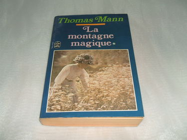 La Montagne magique (tome 1)