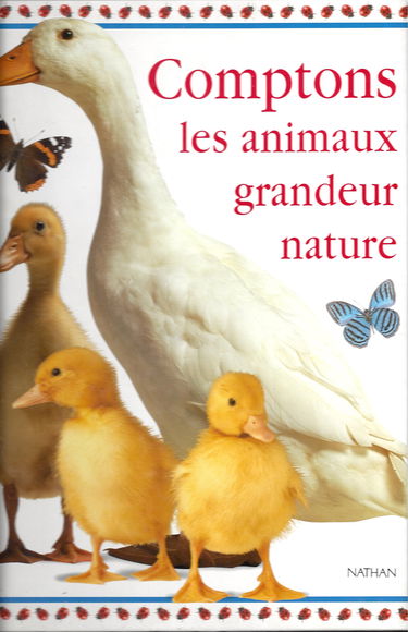 Comptons : les animaux grandeur nature